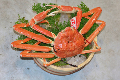 おまかせセット　訳アリ　活(生)　船直送 松葉ガニ