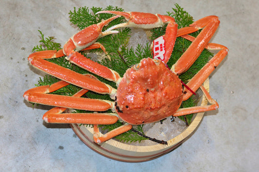 おまかせセット　訳アリ　活(生)　船直送 松葉ガニ