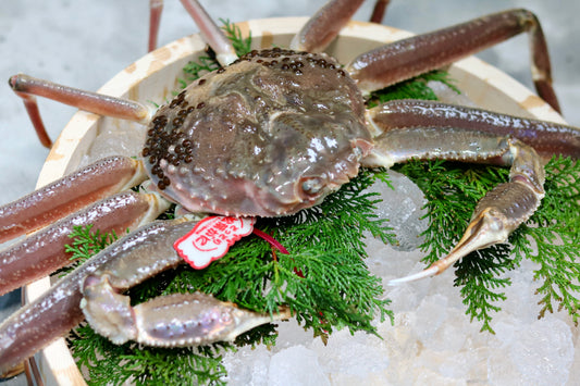 おまかせセット　訳アリ　活(生)　船直送 松葉ガニ