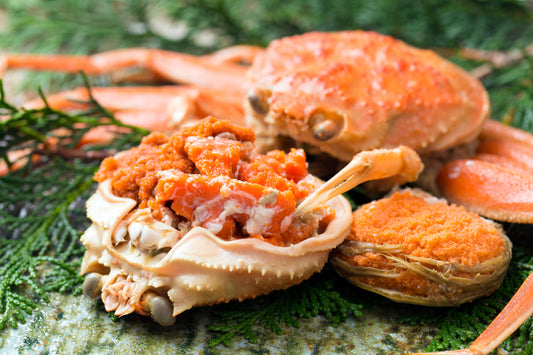 活　船直送　セコガニ（親ガニ） 【期間限定】11月〜12月末